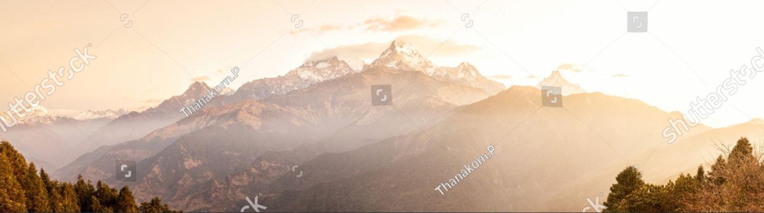 Trauma +EMDR